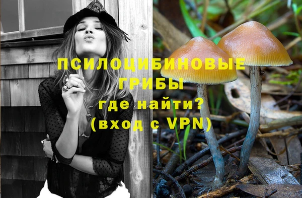 эйфоретик Киреевск