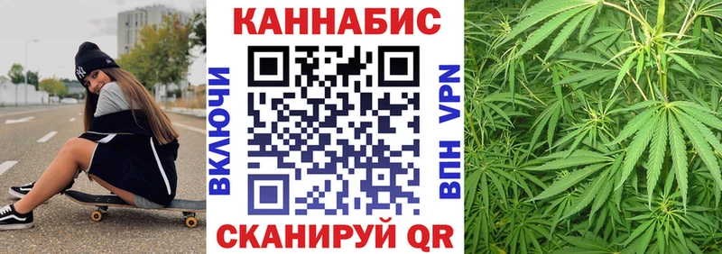 сколько стоит  mega зеркало  Конопля сатива  Нерехта 